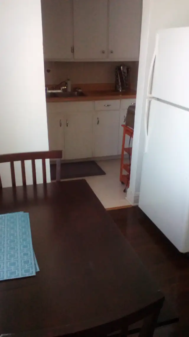 Large One Bedroom Apartment. Jackson Park. $1200 - Photo 4