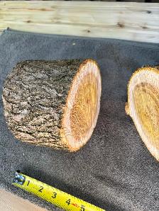 2 Natural Wood Slices for Crafting or Decor ! - Photo 9
