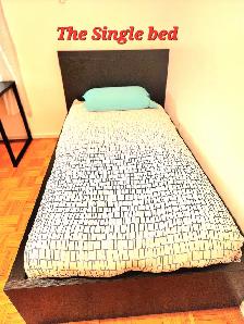Room Toronto Downtown Skyline, Avail now. - Photo 7