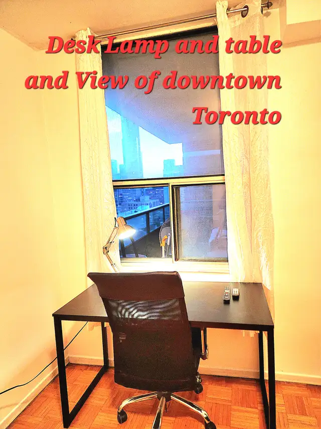 Room Toronto Downtown Skyline, Avail now. - Photo 15
