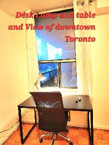 Room Toronto Downtown Skyline, Avail now. - Photo 15