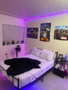 July 1 Sublease- 1 Bedroom Apartment- $1052/month