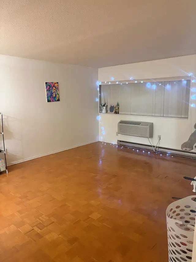 July 1 Sublease- 1 Bedroom Apartment- $1052/month - Photo 3