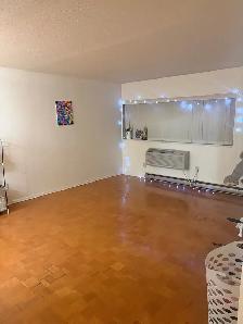 July 1 Sublease- 1 Bedroom Apartment- $1052/month - Photo 3