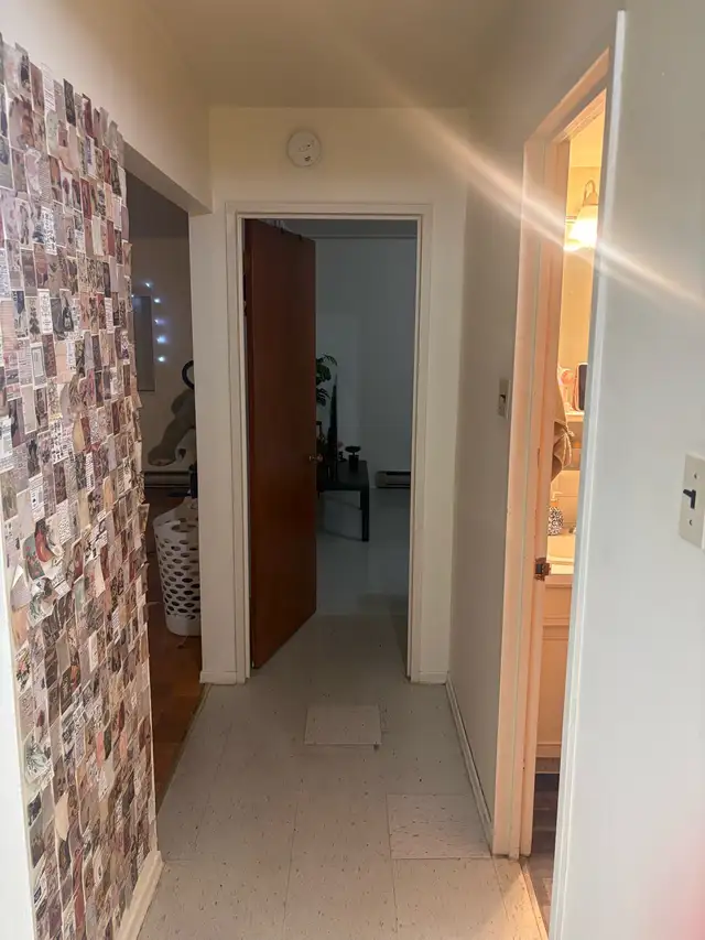 July 1 Sublease- 1 Bedroom Apartment- $1052/month - Photo 4