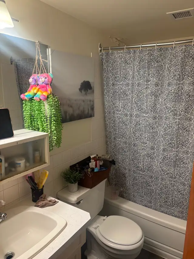 July 1 Sublease- 1 Bedroom Apartment- $1052/month - Photo 5