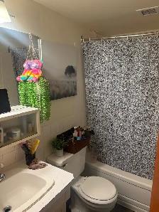 July 1 Sublease- 1 Bedroom Apartment- $1052/month - Photo 5