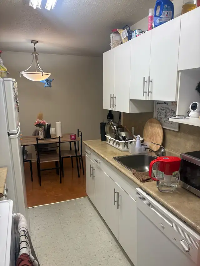 July 1 Sublease- 1 Bedroom Apartment- $1052/month - Photo 7