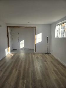 3 1/2 A LOUER LAVAL - Photo 3