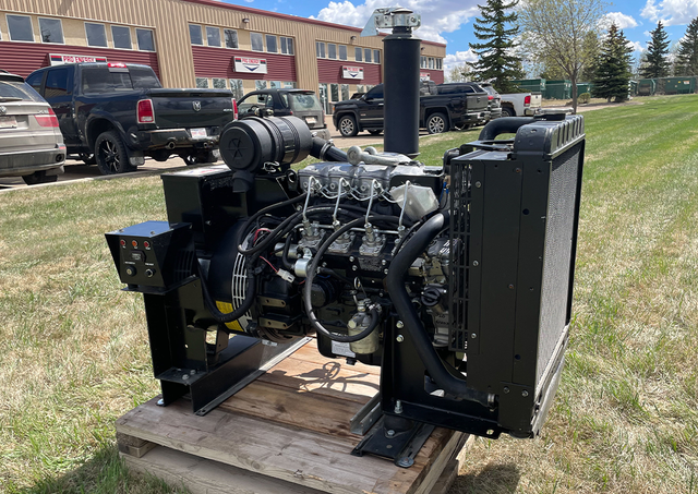 23KW Diesel Generator - Photo 2