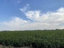 Farm Technician - Photo 3