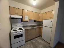 1-Spacious Bedroom in Downtown, West End!! - Photo 4