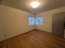 1-Spacious Bedroom in Downtown, West End!! - Photo 5