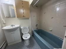 1-Spacious Bedroom in Downtown, West End!! - Photo 7