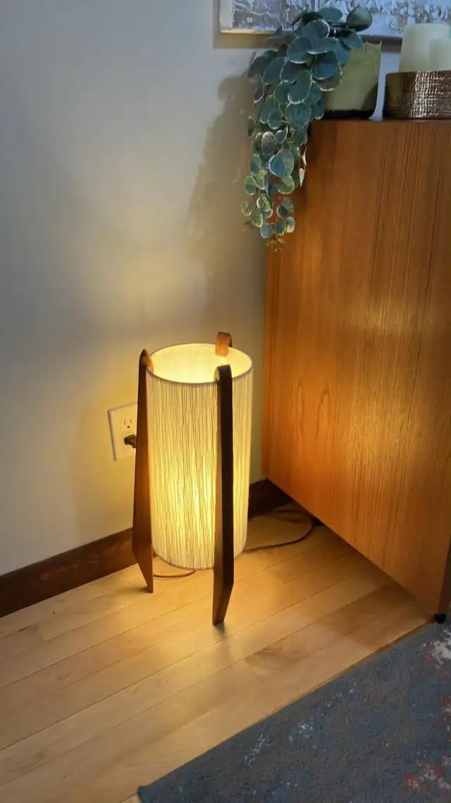 Mid century. TEAK TECK. Lampe / Buffet, bahut disques vinyles - Photo 5