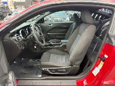 2009 Ford Mustang 2dr Cpe, Pony Edition Coupe | Automatic | Spor - Photo 12