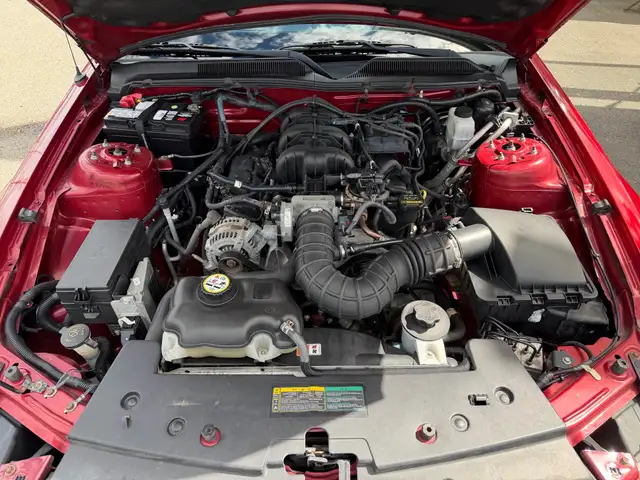 2009 Ford Mustang 2dr Cpe, Pony Edition Coupe | Automatic | Spor - Photo 23