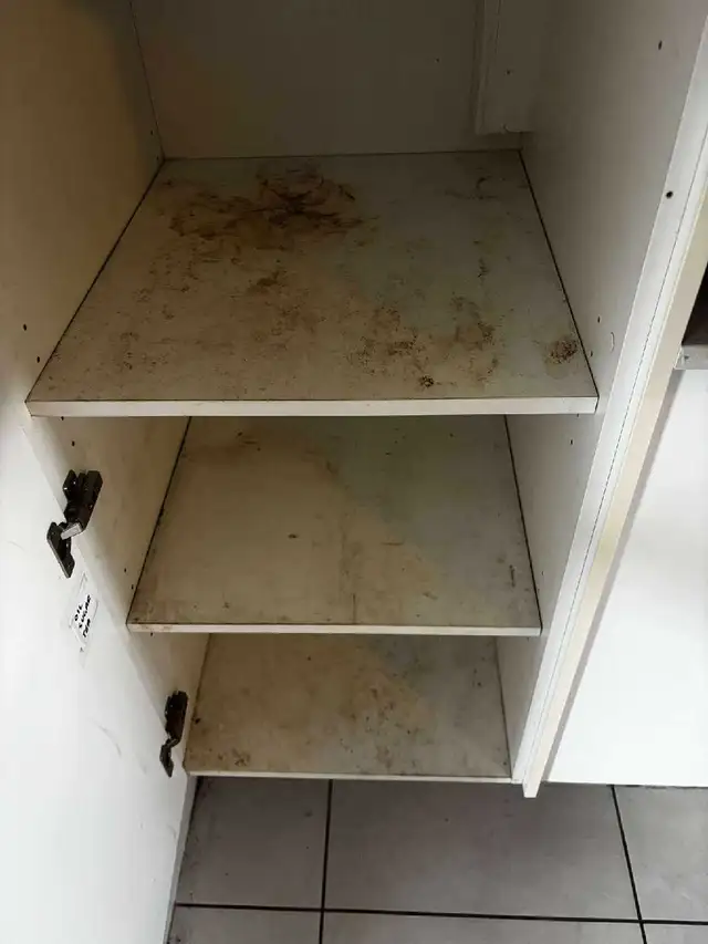 Reliable & Affordable House Cleaning - Photo 7