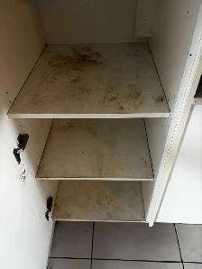 Reliable & Affordable House Cleaning - Photo 7