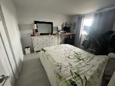 4 1/2 Laval - Photo 7