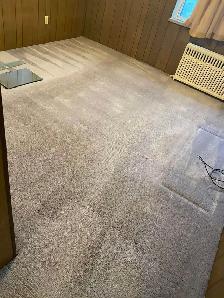 The Best Home Carpet,Rugs And Couch,Cleaning - Photo 5