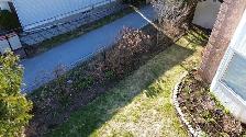 Garden maintenance help - Photo 2
