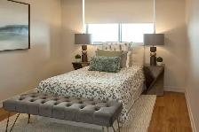 Fully Renovated 2 Bedroom Large, 2 Bath for Rent in Etobicoke! - Photo 11
