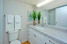 Fully Renovated 2 Bedroom Large, 2 Bath for Rent in Etobicoke! - Photo 12