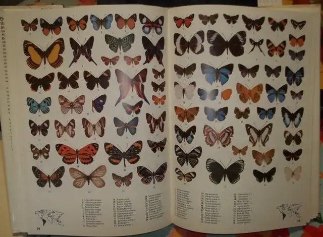 Butterflies of the World.Over 5000 colour photos.Hardcover issue - Photo 2