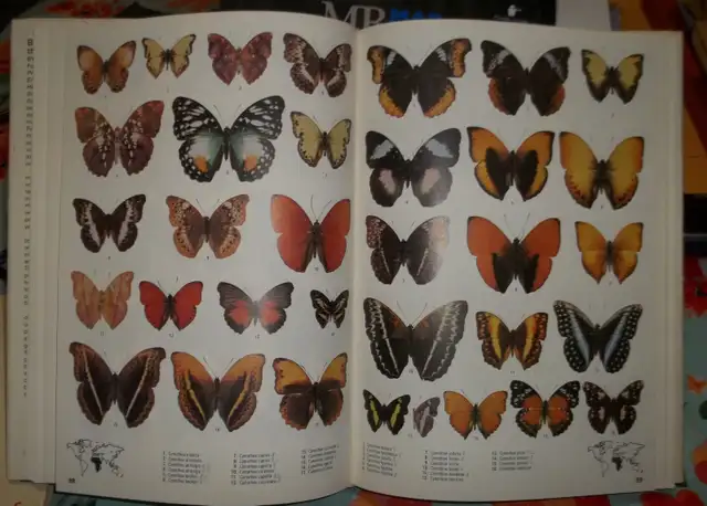 Butterflies of the World.Over 5000 colour photos.Hardcover issue - Photo 3