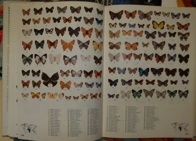 Butterflies of the World.Over 5000 colour photos.Hardcover issue - Photo 5