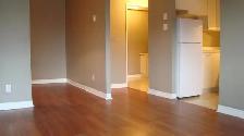 Bachelor for June 1, all-inclusive, easy access to Kanata