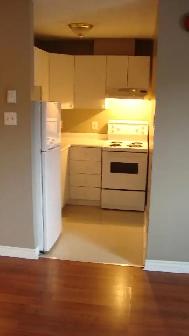 Bachelor for June 1, all-inclusive, easy access to Kanata - Photo 3
