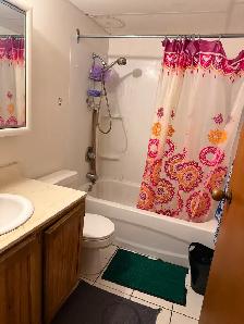 $600 room for rent near 8th st and Centre Mall - Photo 11