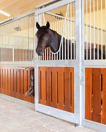 Animal Gate or Railing in Barn - Photo 3