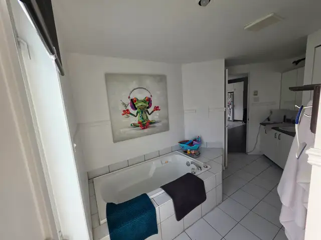 1590 De Lery  Secteur Tranquille avec foyer Disponible Le 1 Oct - Photo 3