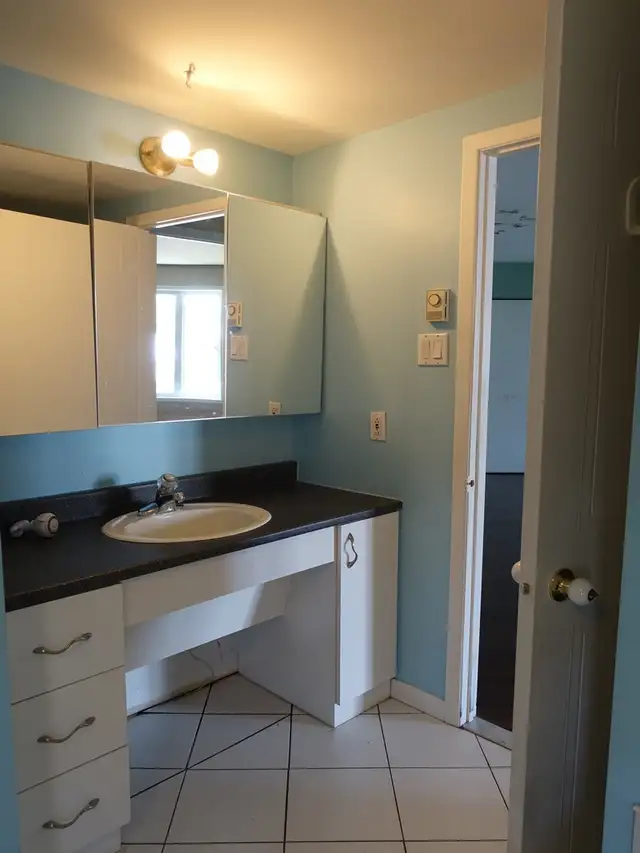 1590 De Lery  Secteur Tranquille avec foyer Disponible Le 1 Oct - Photo 4