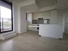 THE HIGH PARK-1 Bedroom Lower Penthouse Condo For Rent w/PARKING - Photo 5