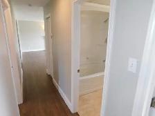 Super Lower Sackville 3beds/1bath APT - VIDEO TOUR! - Photo 19