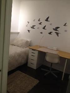 $850 Room-FEMALES-4 min walking to LRT Caledonia Stn at Eglinton - Photo 8