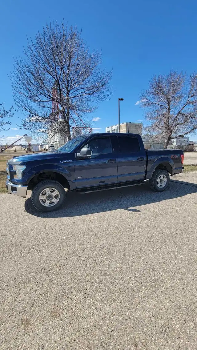 Saftied 2015 Ford f150 ecoboost