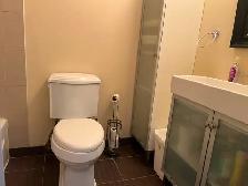 Condo à Louer  Montreal: Place des Arts 3 1/2 Meublé - Photo 9