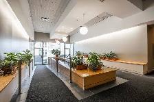 Condo à Louer  Montreal: Place des Arts 3 1/2 Meublé - Photo 12