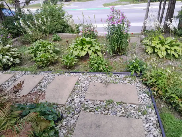 All Inclusive, Walk to CarletonU, Full Ensuite bath. - Photo 7