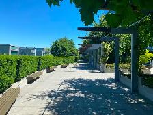 FURNISHED  EXECUTIVE 1BR DEN w GARDEN PATIO in PRIME LOCATION - Photo 11