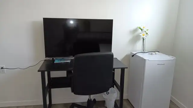 $750/MONTH: FULLY FURNISHED PRIVATE ROOM FOR RENT - Photo 3