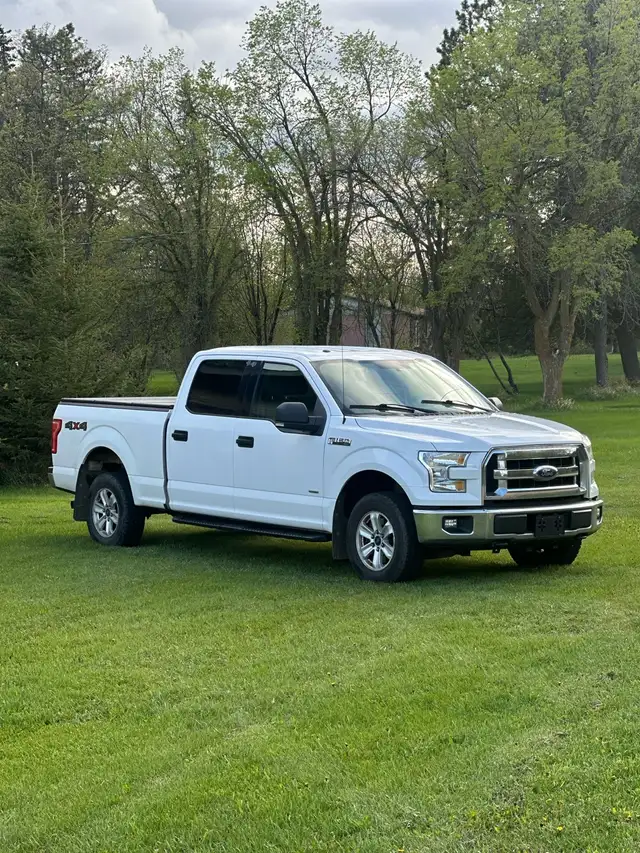 2015 Ford F150 SuperCrew Cab - Photo 3