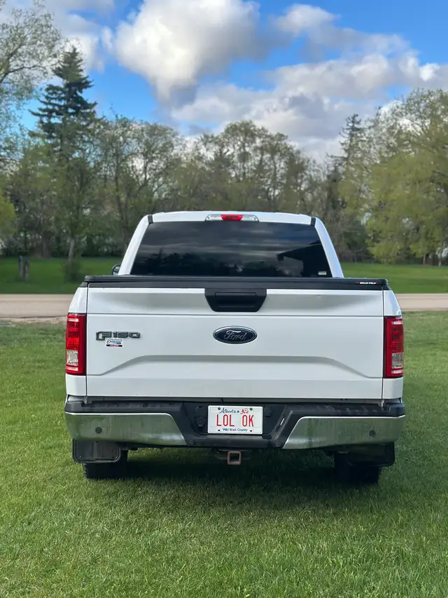 2015 Ford F150 SuperCrew Cab - Photo 4