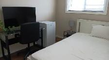 $750/MONTH: FULLY FURNISHED A ROOM FOR RENT