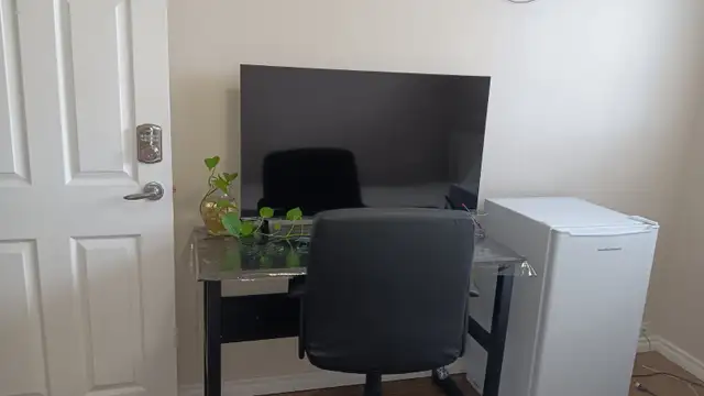 $750/MONTH: FULLY FURNISHED A ROOM FOR RENT - Photo 3